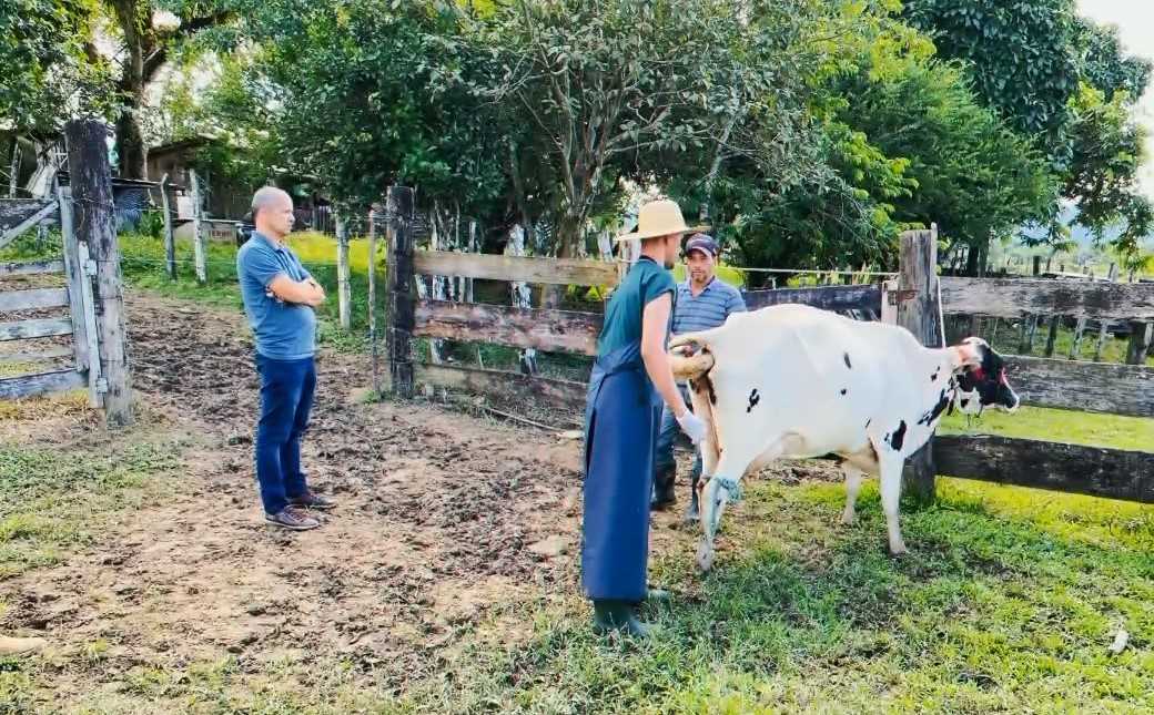 Camacã: Prefeitura lança Programa Vaca Leiteira com acompanhamento gratuito de Veterinário
